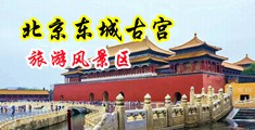 美女被c肏哭,湿了,白浆中国北京-东城古宫旅游风景区