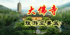 被大鸡巴操爽黄色网站中国浙江-新昌大佛寺旅游风景区